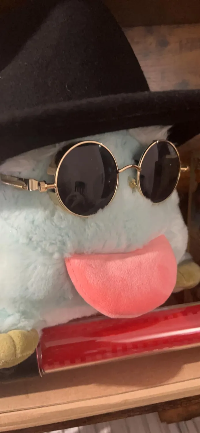 GQUEEN Runde Sonnenbrille Schwarz Grau polarisiert