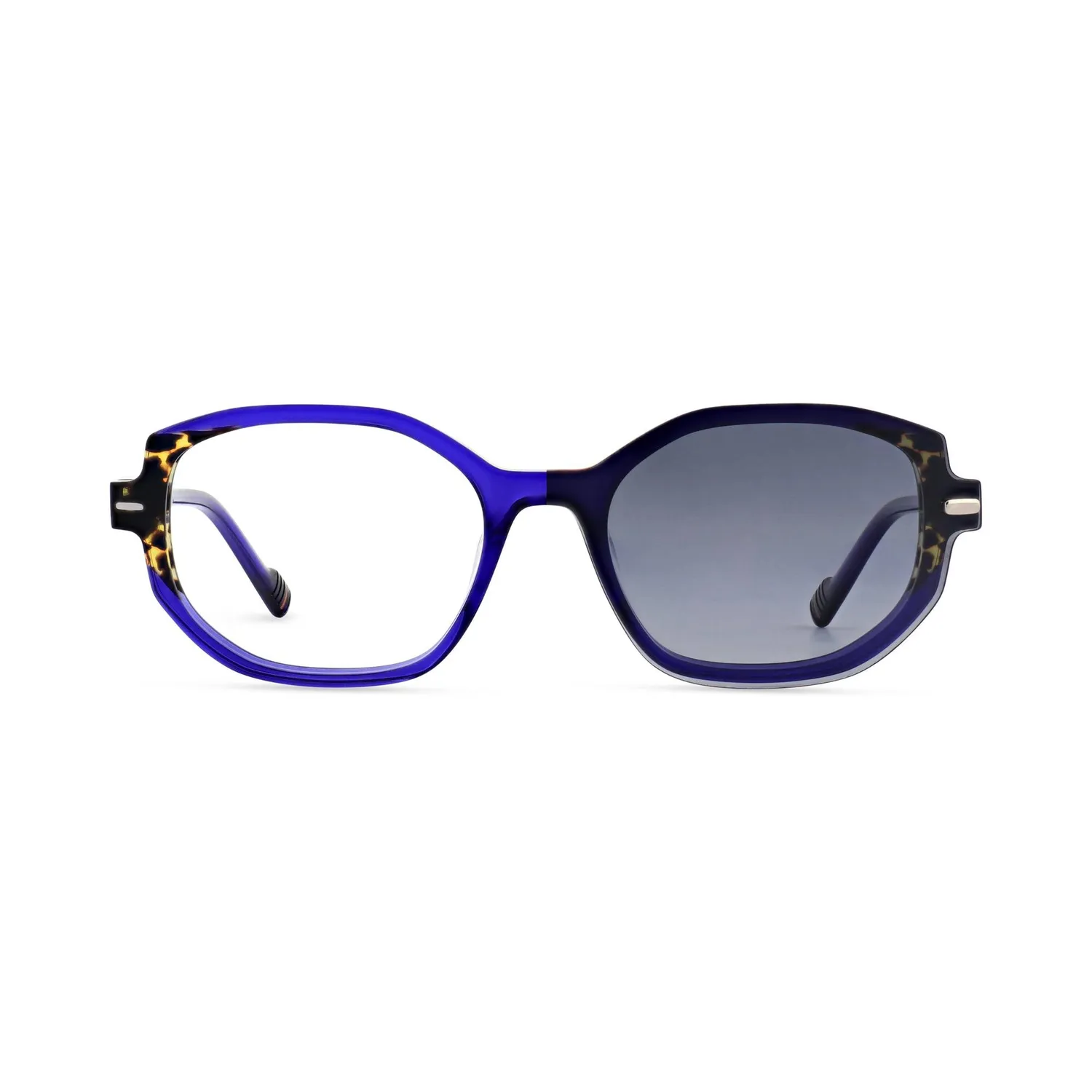 Morel Eclipse 11 Brillengestell Damen oval Acetat