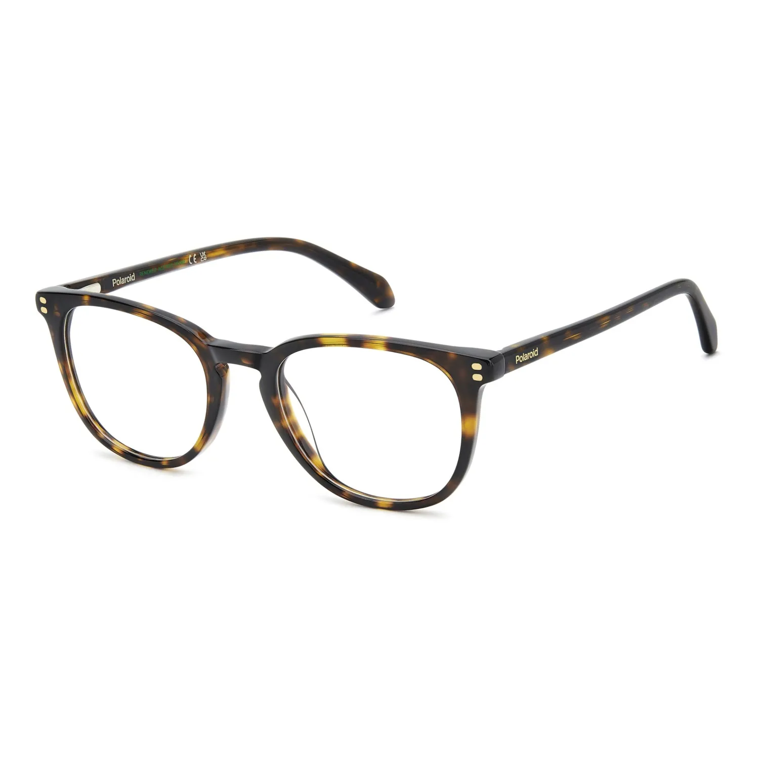 Polaroid PLD D609 Brille rund 51-20-145