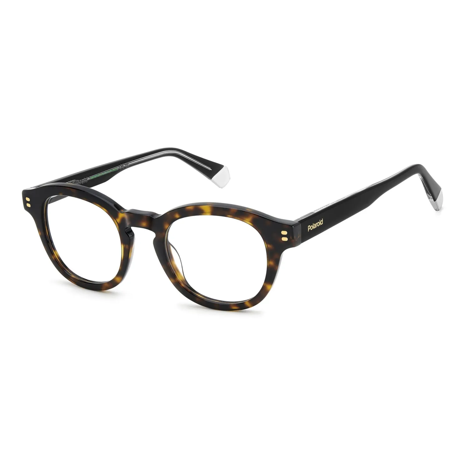 Polaroid D559 Brille Havanna Herren Pantos
