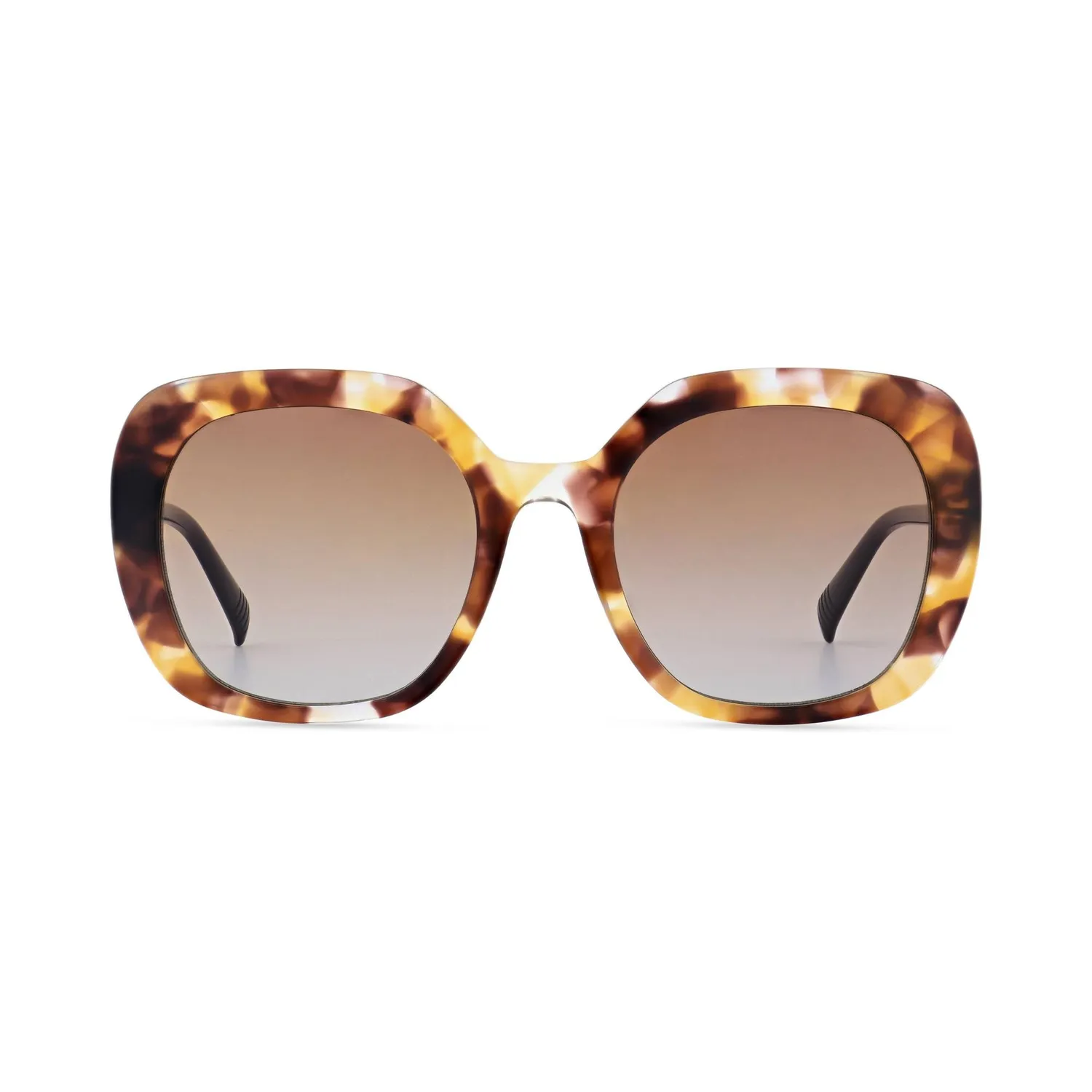 MOREL Zafora 4 Sonnenbrille Damen Acetat