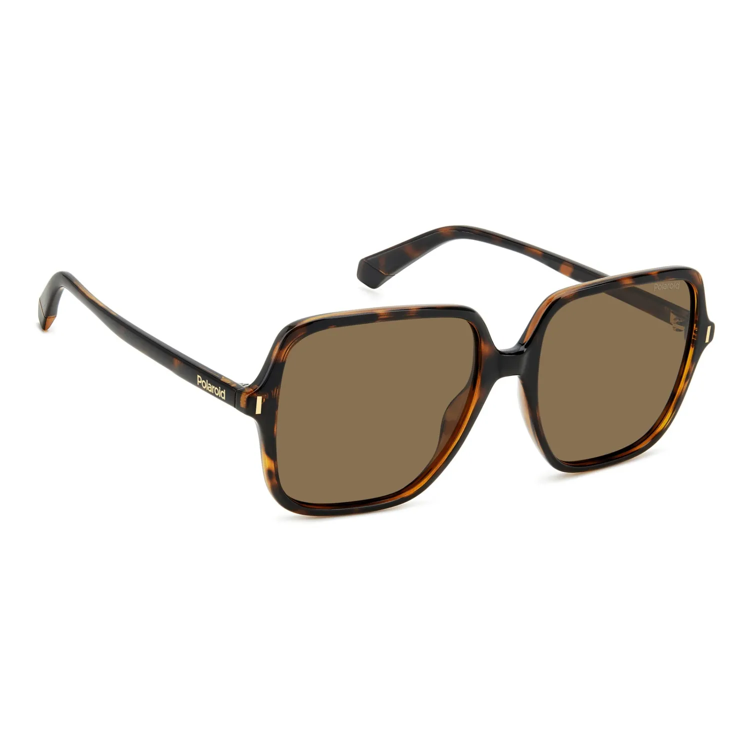Polaroid PLD 6219/S Sonnenbrille Havanna bronze polarisiert