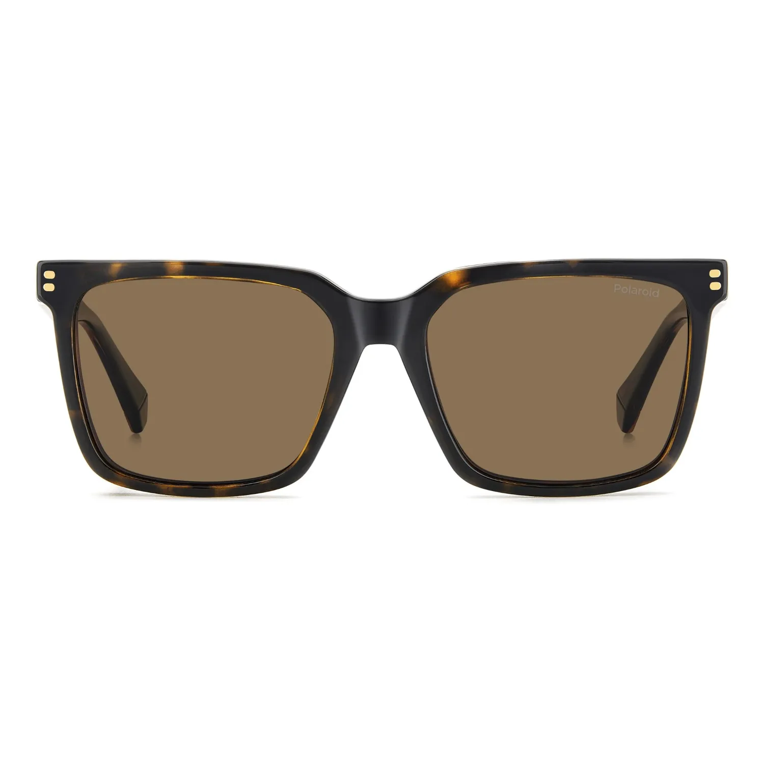 Polaroid PLD D556/C Brille Havana Clip-on polarisiert