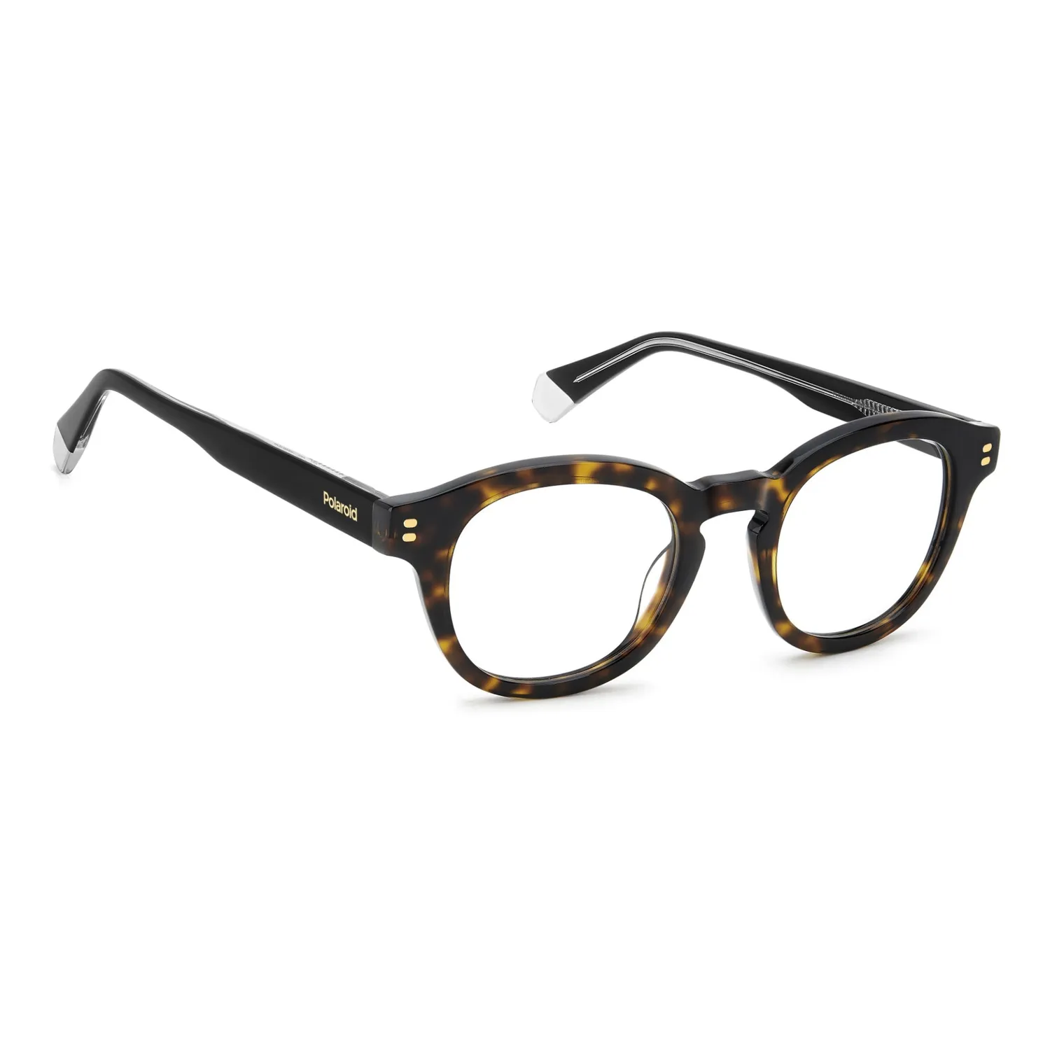 Polaroid D559 Brille Havanna Herren Pantos