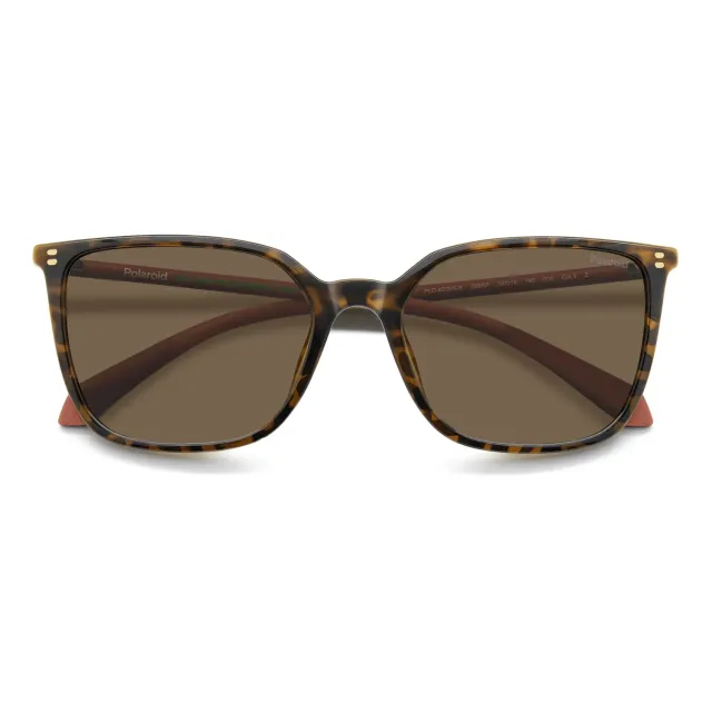 Polaroid PLD 4209/S/X Sonnenbrille havana polarisiert