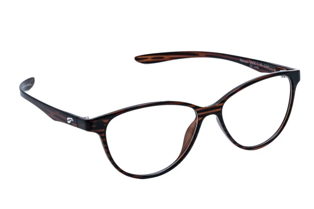 Flying Eyes Noctua Brillenfassung Matt Schwarz