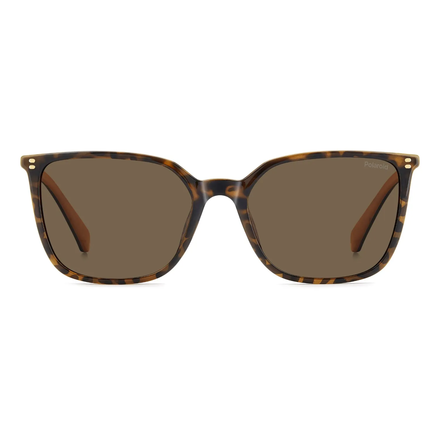Polaroid PLD 4209/S/X Sonnenbrille havana polarisiert