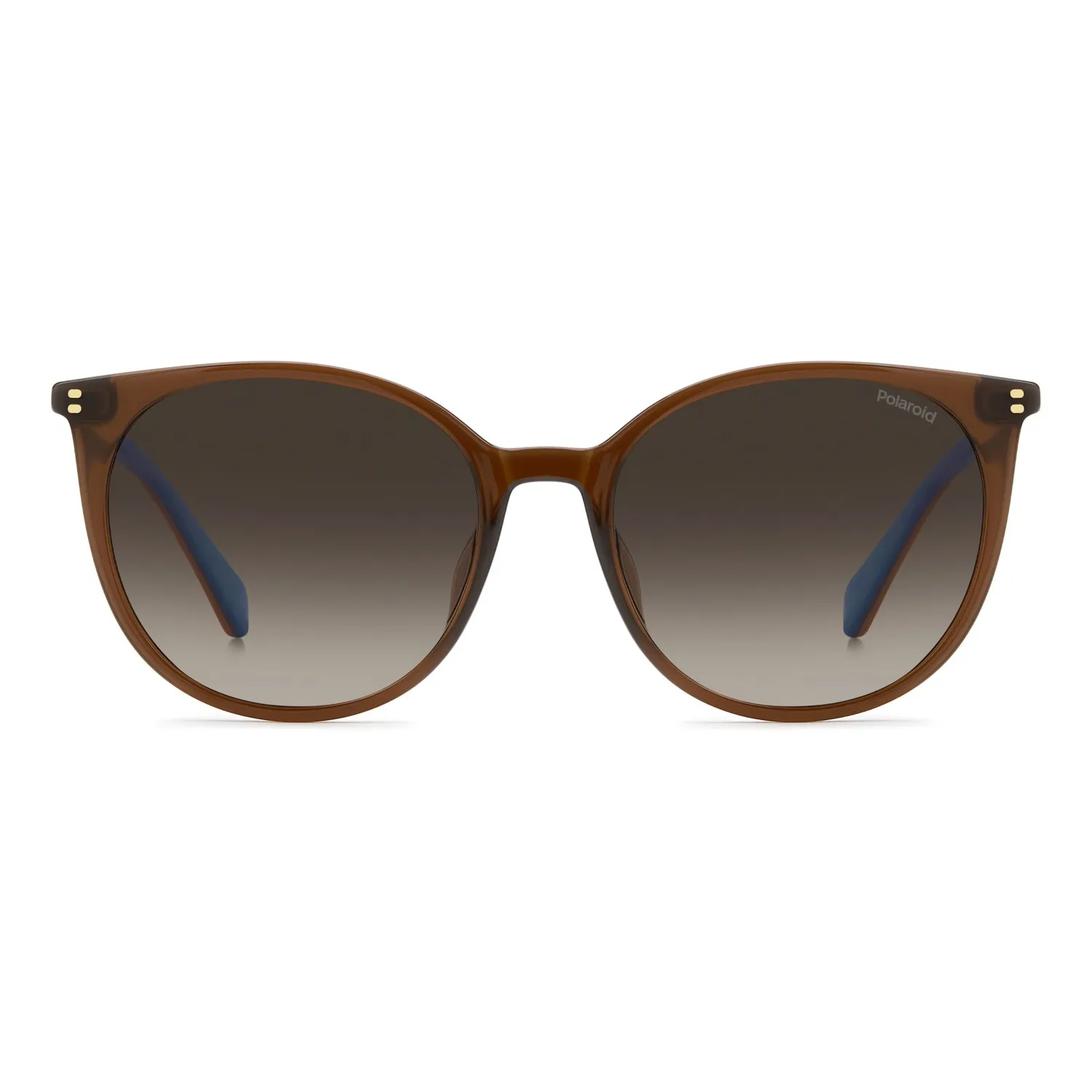 Polaroid PLD 4208/S/X Sonnenbrille Braun Cat-Eye