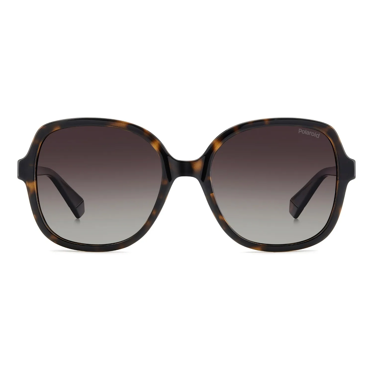 Polaroid PLD 4177/S/X Sonnenbrille Havanna 55-19-145 Damen