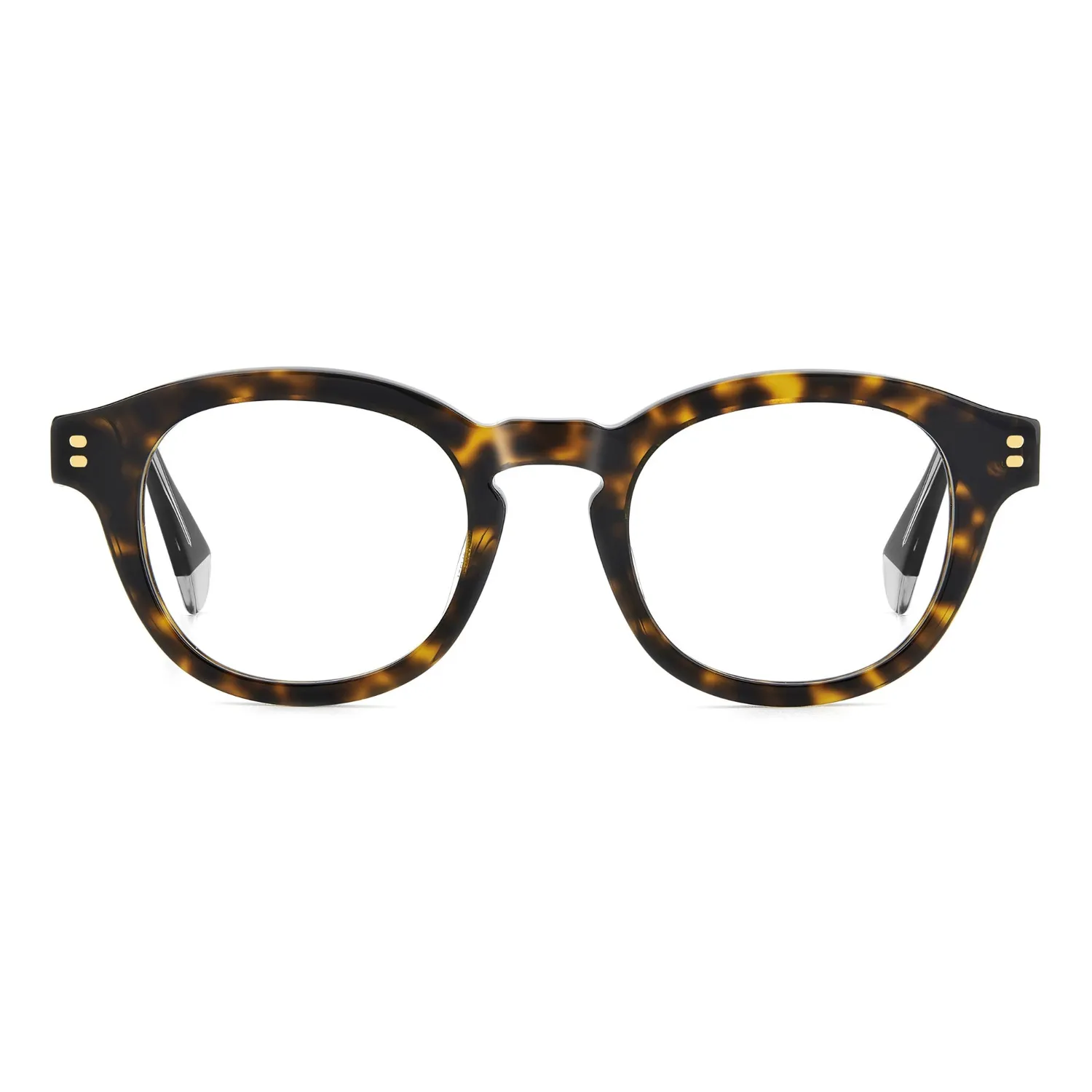 Polaroid D559 Brille Havanna Herren Pantos